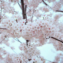 floating-feet avatar