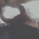 floating-lanterns8 avatar