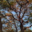 floatingfloat avatar