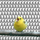 floctisnoctis avatar