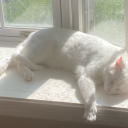 floor-crumbss avatar