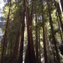 floorunderourfeet avatar