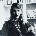 flor-de-andromeda avatar