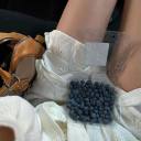 florafaunablogs avatar