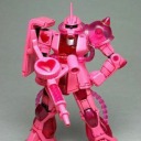 floral-cactus avatar