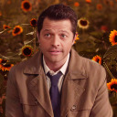 floral-cas avatar
