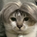 floral-medicine avatar