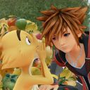 floral-sugar-star avatar