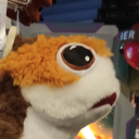 floralbonbons avatar