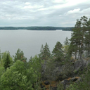 floralghostlane avatar