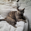 florall-bitch avatar