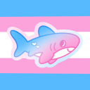 floralprintsharks avatar