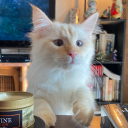 floraltrousers avatar