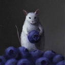 florence-has-fomo avatar