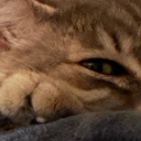 florenceandthevendingmachine avatar