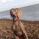 florencecastlewritings avatar