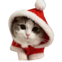 florencemachines avatar