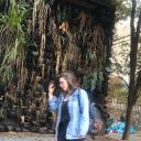 flores-de-0utono avatar