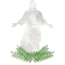 floresceremdeuss avatar