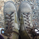 floresynthesis avatar