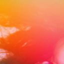 florflorflorflorflorflor avatar