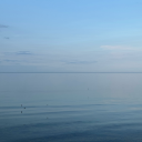 florianpainkesblog avatar