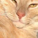 florinoakenshield avatar