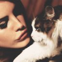 flortogravura avatar