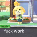 flourite-turtle avatar