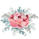 flow-ers-of-life avatar