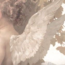 flower-feelings avatar