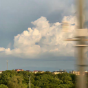 flower-tea-fairies avatar