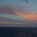 flower29power avatar