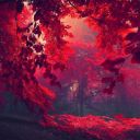 flowerandlove avatar