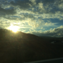 flowerblubber avatar