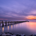 flowerchild-at-last avatar