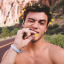 flowercrowndolan avatar