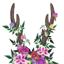 floweredantlers avatar