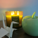 flowerfemfluff avatar