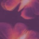 flowerfreya avatar