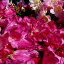 floweringthings avatar