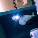 flowerkvdd-blog avatar