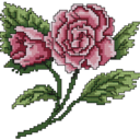 flowerlezbian avatar