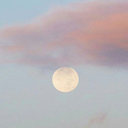 flowernst-blog avatar