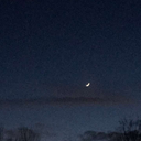 flowerprince1347 avatar