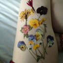 flowers-and-anarchy avatar