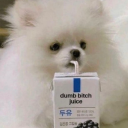 flowers-for-it avatar