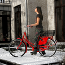 flowers-in-nyc avatar