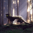 flowers-in-the-lungs avatar