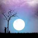 flowers-in-the-mud avatar